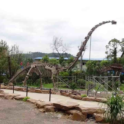 Bộ xương khủng long ngoài trời lớn, Bộ xương mô hình khủng long chống nắng