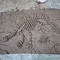 Bảo tàng thủ công Bản sao khủng long, Bản sao hộp sọ Dino Tuổi trẻ