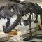 Bản sao bộ xương khủng long trong nhà Tuổi trẻ bảo hành 12 tháng