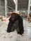 Plush Furry Người lớn Trang phục Halloween thực tế Linh vật Animal Dress Suit Fursuit Gorilla