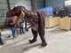 Kích thước người lớn Trang phục khủng long thực tế Nhẹ thoáng khí