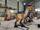 Công viên chủ đề dành cho người lớn Robot khủng long thực tế Animatronic Velociraptor