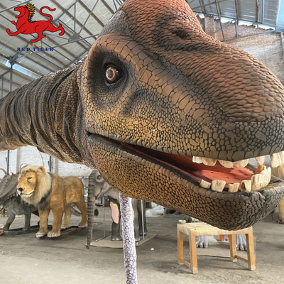 Đầu khủng long thực tế trong nhà treo tường Kích thước trang trí tùy chỉnh