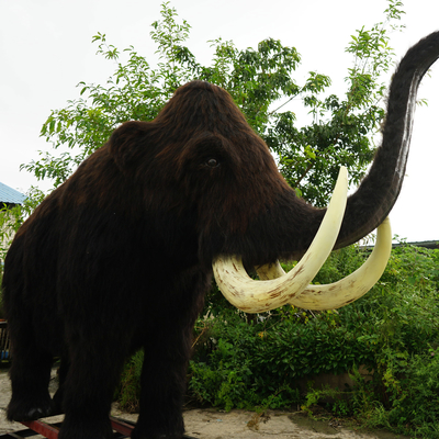 Mua Kích thước đầy đủ Realistic Woolly Mammoth không thấm nước cho công viên giải trí online manufacture