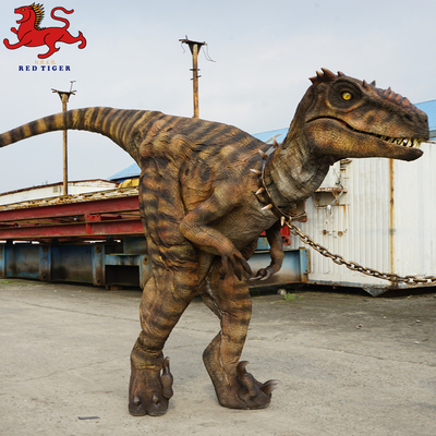 Mua Trang phục Velociraptor Animatronic, Trang phục khủng long trưởng thành nhân tạo online manufacture