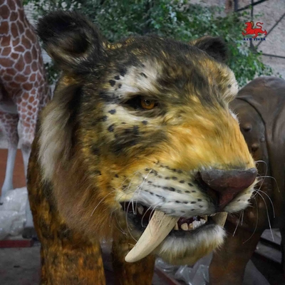 Mua Kích thước đầy đủ Animatronic Sabre Răng Cat Thời tiết cho Công viên Giải trí online manufacture