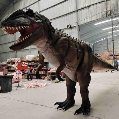 Mua Cá nhân hóa Trang phục khủng long thực tế Mô hình Carcharodontosaurus online manufacture