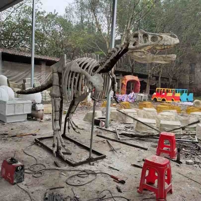 Bản sao hộp sọ khủng long kích thước cuộc sống ngoài trời / trong nhà, bản sao hóa thạch khủng long