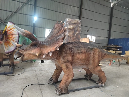 Mua Công viên Jurassic Animatronic Triceratops Mô hình 5m online manufacture