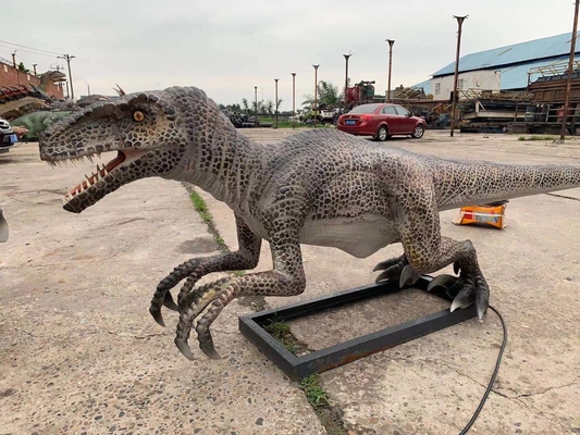 Mua Kích thước cuộc sống Realistic Animatronic Dinosaur Velociraptor Model Theme Park Dinosaur online manufacture