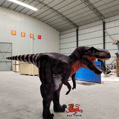 Giá tốt. Trang phục T Rex ngoài đời thực tùy chỉnh, Bộ đồ Tyrannosaurus trong nhà trực tuyến