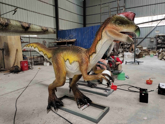 Giá tốt. Công viên chủ đề dành cho người lớn Robot khủng long thực tế Animatronic Velociraptor trực tuyến