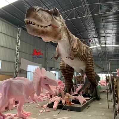 tên