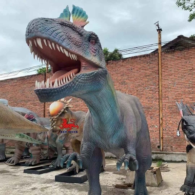 tên