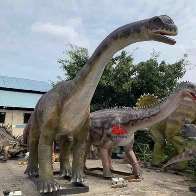 tên