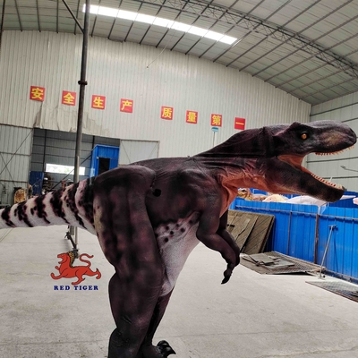 tên