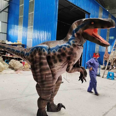 tên