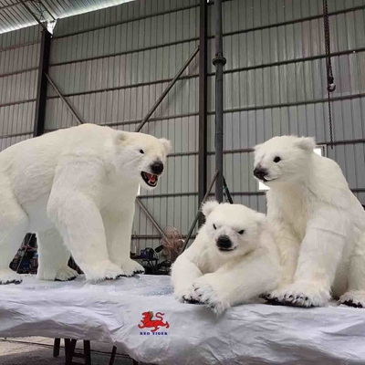 tên