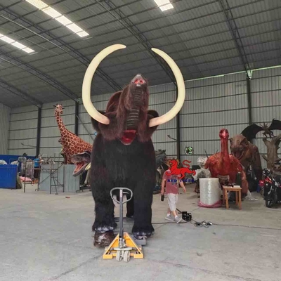 tên