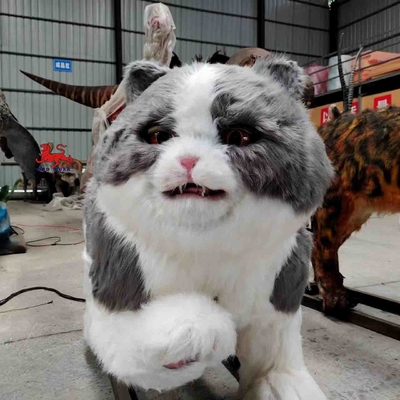 tên