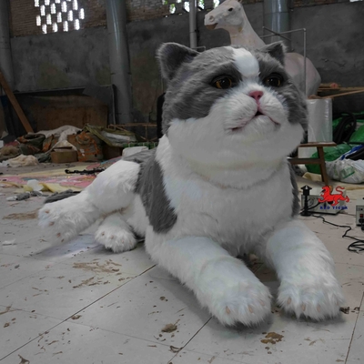tên