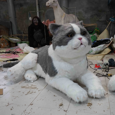 tên