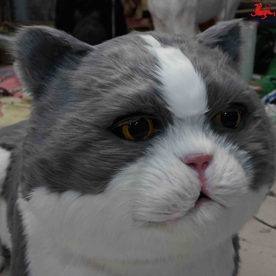 tên