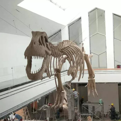 tên