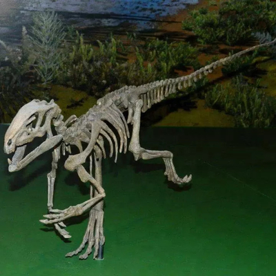 tên