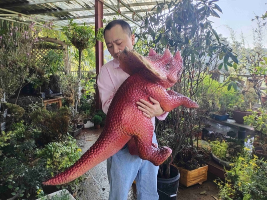 tên