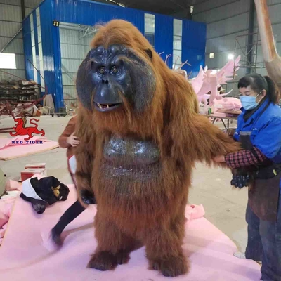 tên