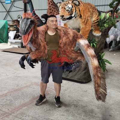 tên