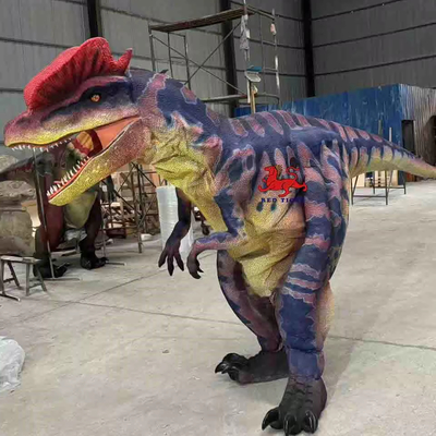tên