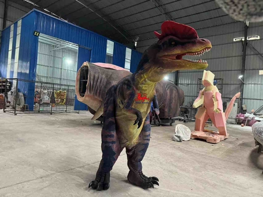 tên