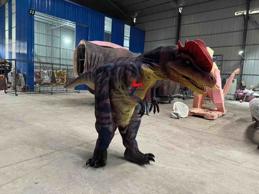 tên