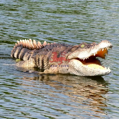 tên