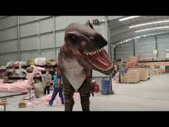 Cá nhân hóa Đồ phục khủng long thực tế Mô hình Carcharodontosaurus